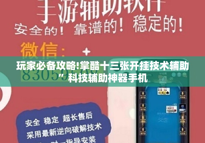 玩家必备攻略!掌酷十三张开挂技术辅助”科技辅助神器手机