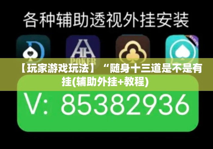 【玩家游戏玩法】“随身十三道是不是有挂(辅助外挂+教程) 【玩家游戏玩法】“随身十三道是不是有挂(辅助外挂+教程)