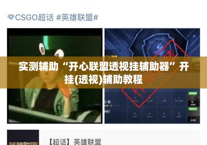 实测辅助“开心联盟透视挂辅助器”开挂(透视)辅助教程