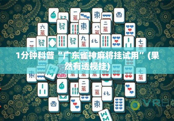 1分钟科普“广东雀神麻将挂试用”(果然有透视挂)