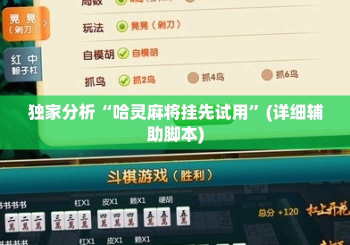 独家分析“哈灵麻将挂先试用”(详细辅助脚本)