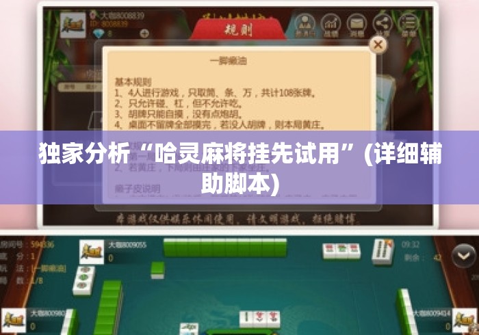 独家分析“哈灵麻将挂先试用”(详细辅助脚本)