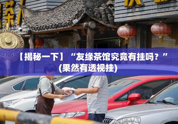 【揭秘一下】“友缘茶馆究竟有挂吗？”(果然有透视挂) 