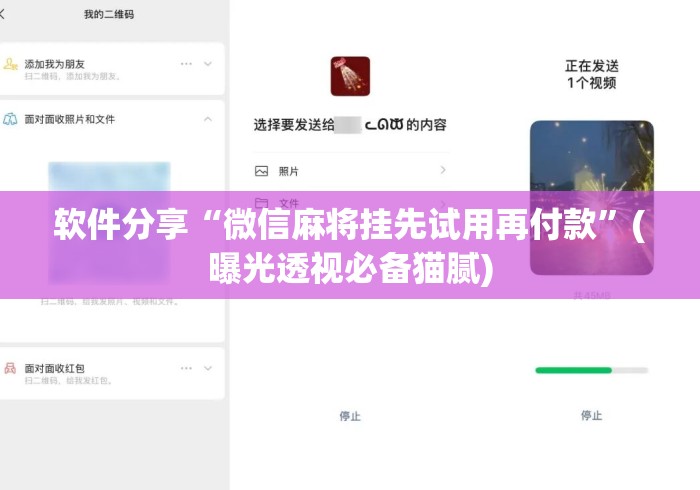 软件分享“微信麻将挂先试用再付款”(曝光透视必备猫腻)
