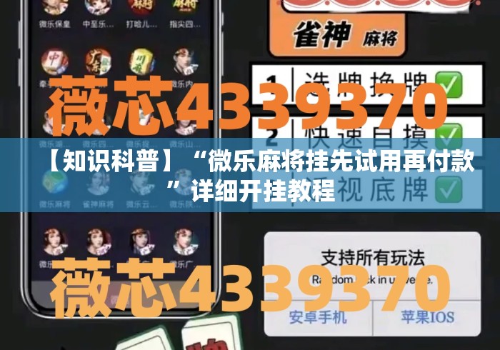 【知识科普】“微乐麻将挂先试用再付款”详细开挂教程