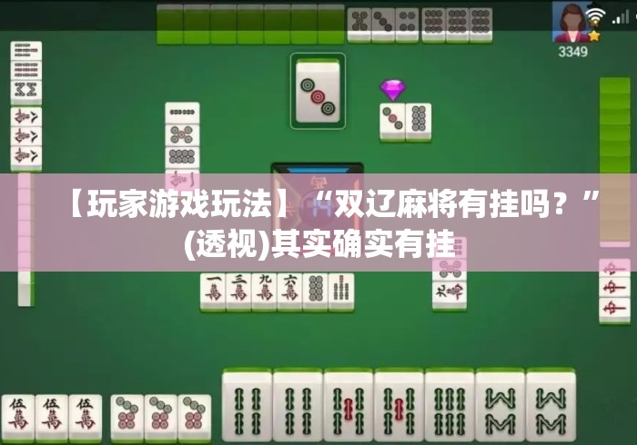 【玩家游戏玩法】“双辽麻将有挂吗？”(透视)其实确实有挂