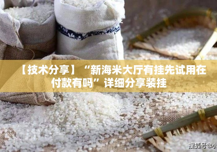 【技术分享】“新海米大厅有挂先试用在付款有吗	”详细分享装挂