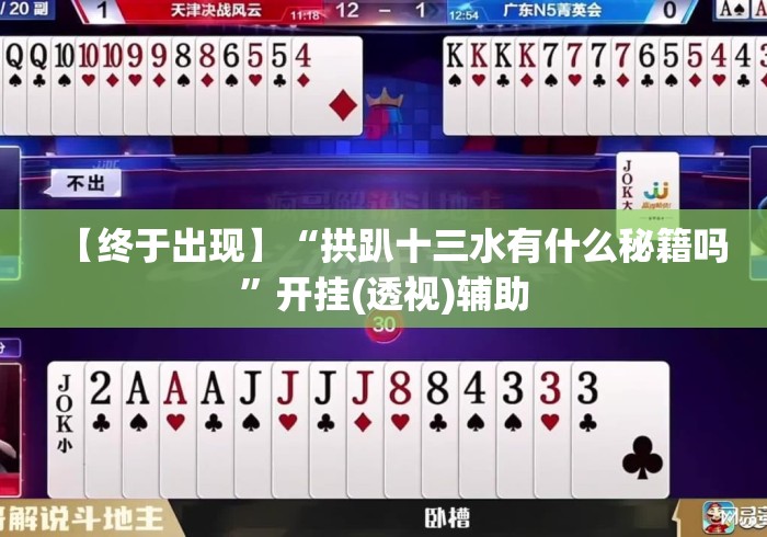 【终于出现】“拱趴十三水有什么秘籍吗”开挂(透视)辅助