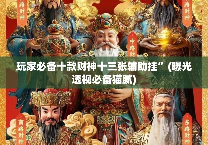 最新技术“天天十三张到底有挂吗”开挂辅助脚本+详细开挂