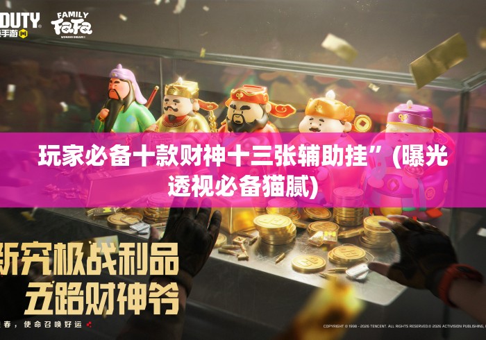 玩家必备十款财神十三张辅助挂	”(曝光透视必备猫腻)