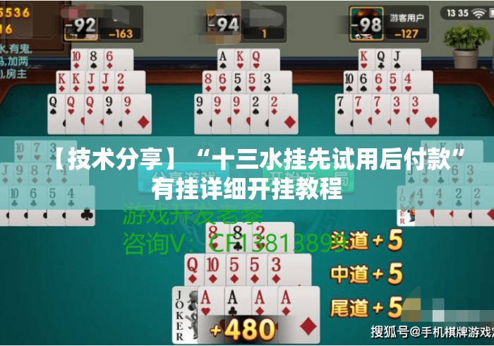 【技术分享】“十三水挂先试用后付款	”有挂详细开挂教程
