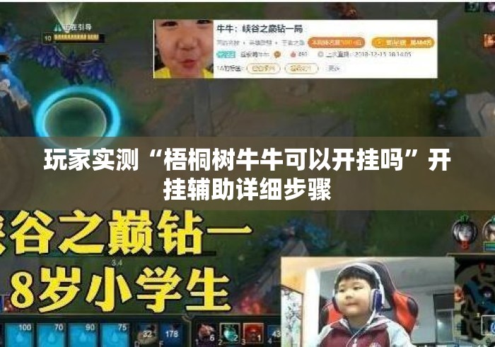 玩家实测“梧桐树牛牛可以开挂吗”开挂辅助详细步骤