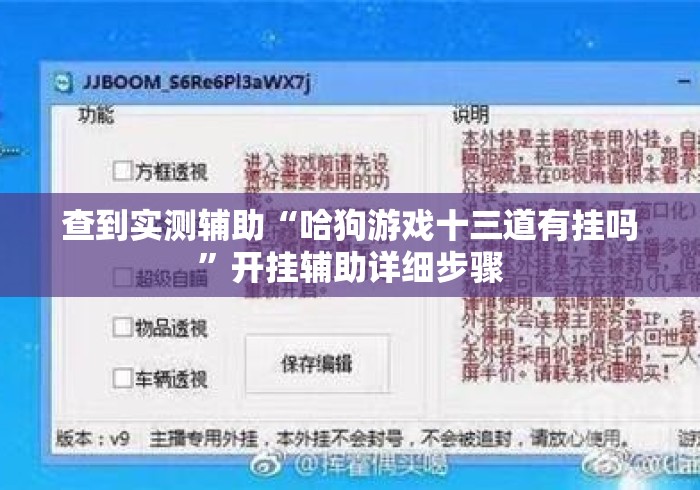 查到实测辅助“哈狗游戏十三道有挂吗”开挂辅助详细步骤