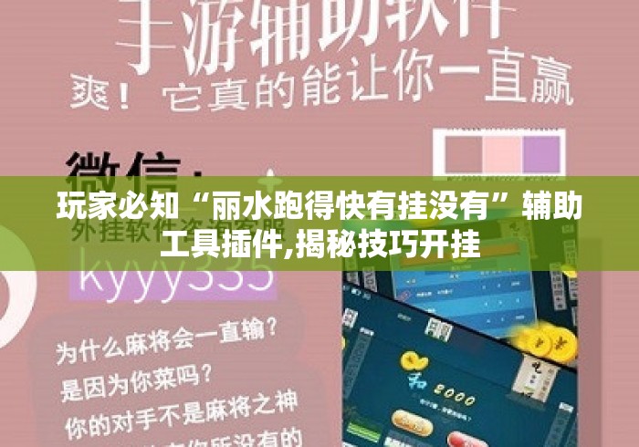 玩家必知“丽水跑得快有挂没有”辅助工具插件,揭秘技巧开挂