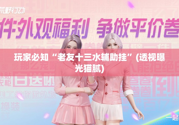 玩家必知“老友十三水辅助挂”(透视曝光猫腻)