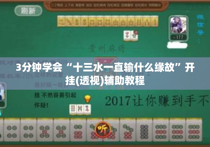 3分钟学会“十三水一直输什么缘故	”开挂(透视)辅助教程