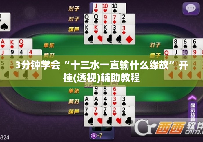 3分钟学会“十三水一直输什么缘故	”开挂(透视)辅助教程