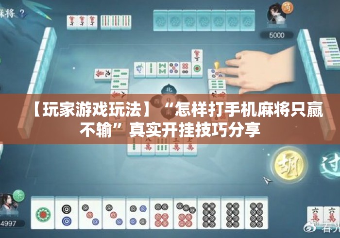 【玩家游戏玩法】“怎样打手机麻将只赢不输	”真实开挂技巧分享