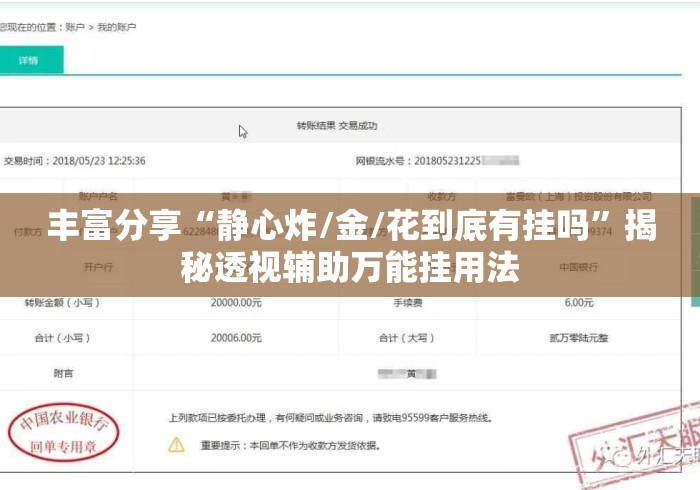 丰富分享“静心炸/金/花到底有挂吗	”揭秘透视辅助万能挂用法