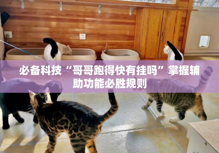 必备科技“哥哥跑得快有挂吗	”掌握辅助功能必胜规则