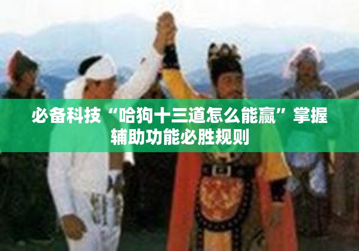 必备科技“哈狗十三道怎么能赢”掌握辅助功能必胜规则