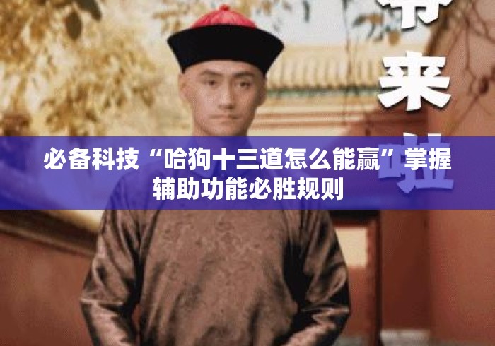 必备科技“哈狗十三道怎么能赢”掌握辅助功能必胜规则