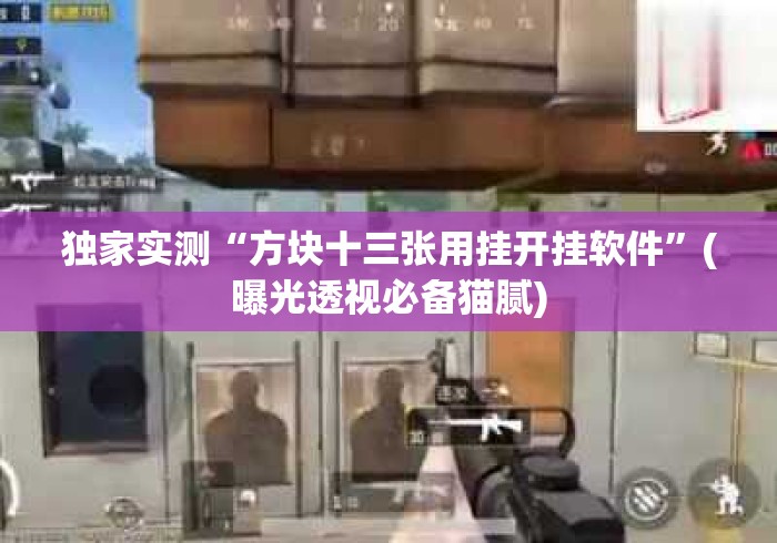 独家实测“方块十三张用挂开挂软件	”(曝光透视必备猫腻)