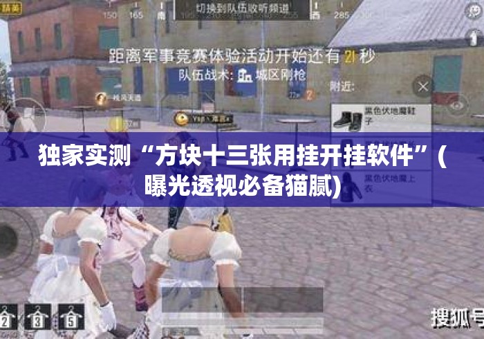 独家实测“方块十三张用挂开挂软件”(曝光透视必备猫腻)