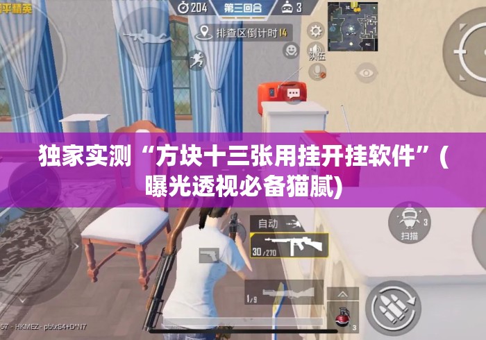 独家实测“方块十三张用挂开挂软件”(曝光透视必备猫腻)