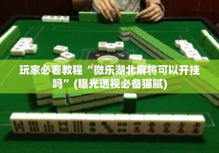 玩家必看教程“微乐湖北麻将可以开挂吗”(曝光透视必备猫腻)
