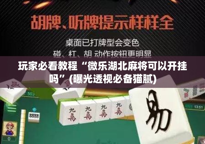 玩家必看教程“微乐湖北麻将可以开挂吗”(曝光透视必备猫腻)