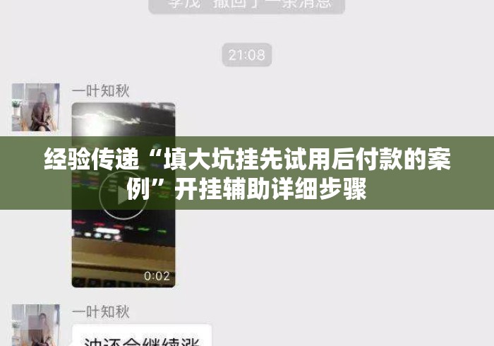 经验传递“填大坑挂先试用后付款的案例”开挂辅助详细步骤