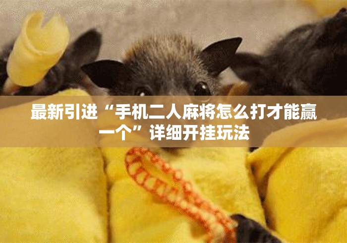 最新引进“手机二人麻将怎么打才能赢一个	”详细开挂玩法