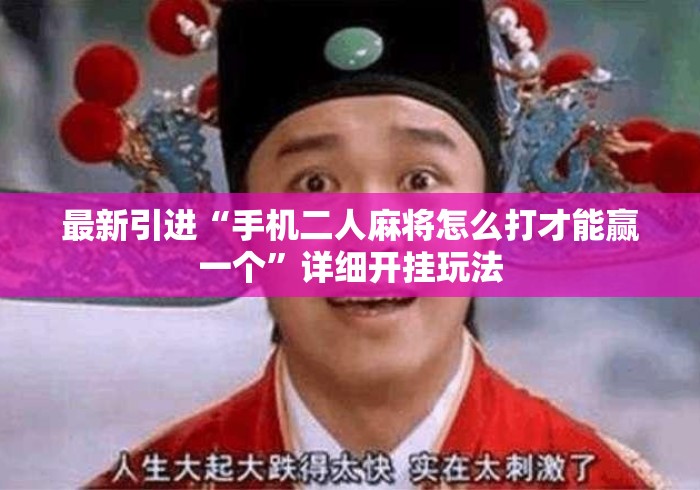 最新引进“手机二人麻将怎么打才能赢一个”详细开挂玩法