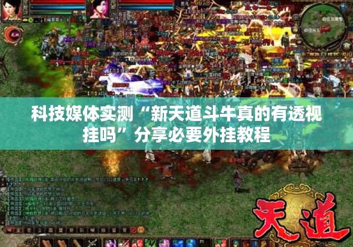 科技媒体实测“新天道斗牛真的有透视挂吗”分享必要外挂教程