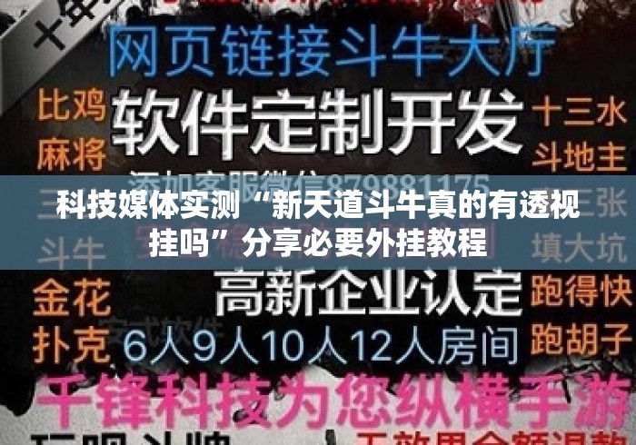 科技媒体实测“新天道斗牛真的有透视挂吗”分享必要外挂教程