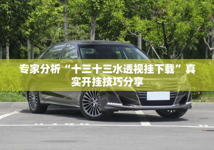 专家分析“十三十三水透视挂下载”真实开挂技巧分享