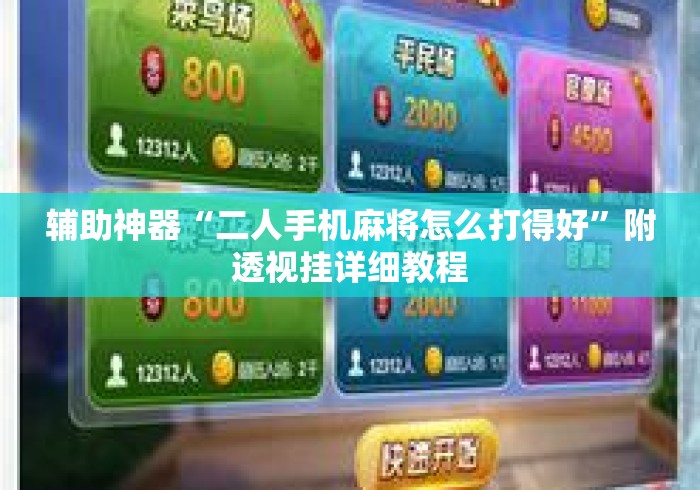 辅助神器“二人手机麻将怎么打得好	”附透视挂详细教程