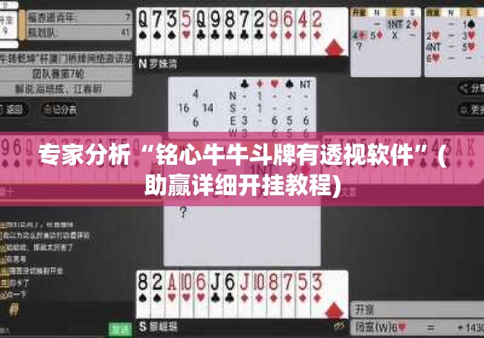 专家分析“铭心牛牛斗牌有透视软件”(助赢详细开挂教程)