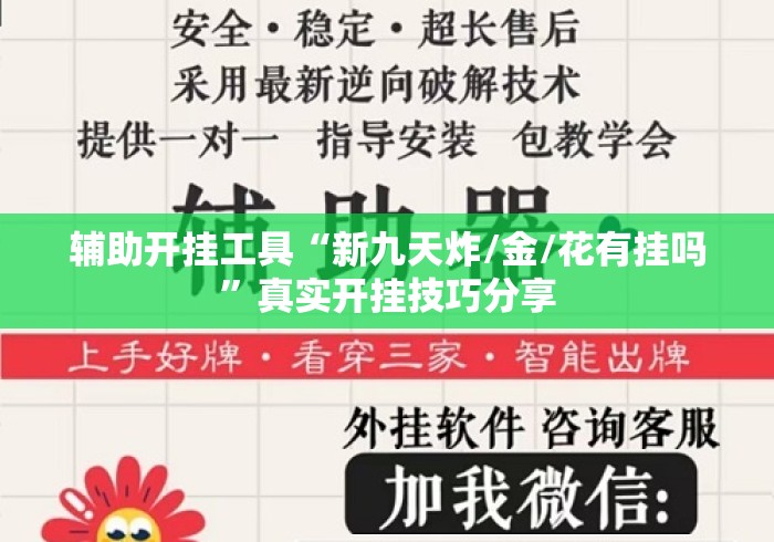 辅助开挂工具“新九天炸/金/花有挂吗”真实开挂技巧分享