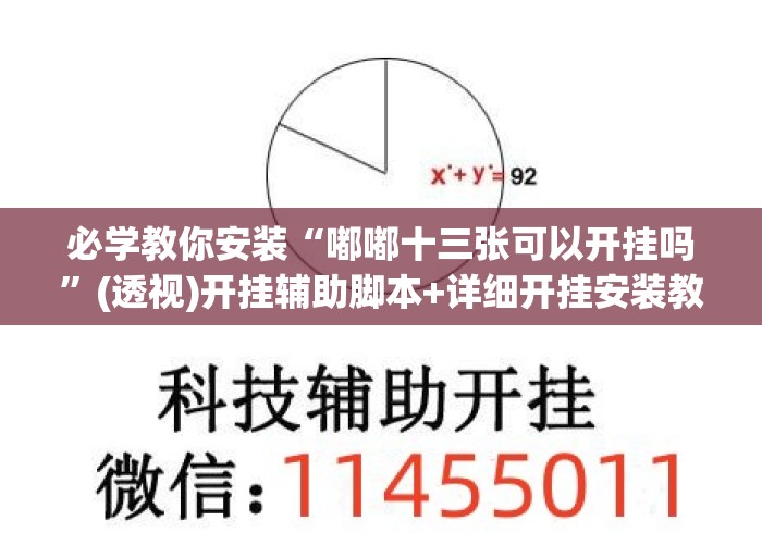 必学教你安装“嘟嘟十三张可以开挂吗”(透视)开挂辅助脚本+详细开挂安装教程