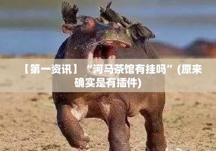 【第一资讯】“河马茶馆有挂吗”(原来确实是有插件)