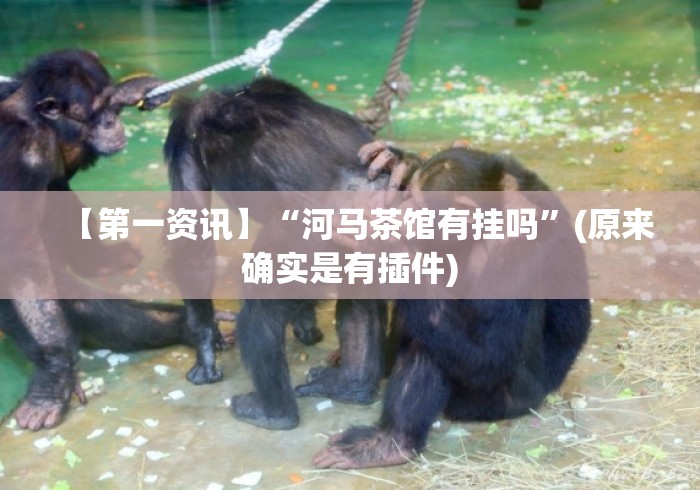 【第一资讯】“河马茶馆有挂吗”(原来确实是有插件)