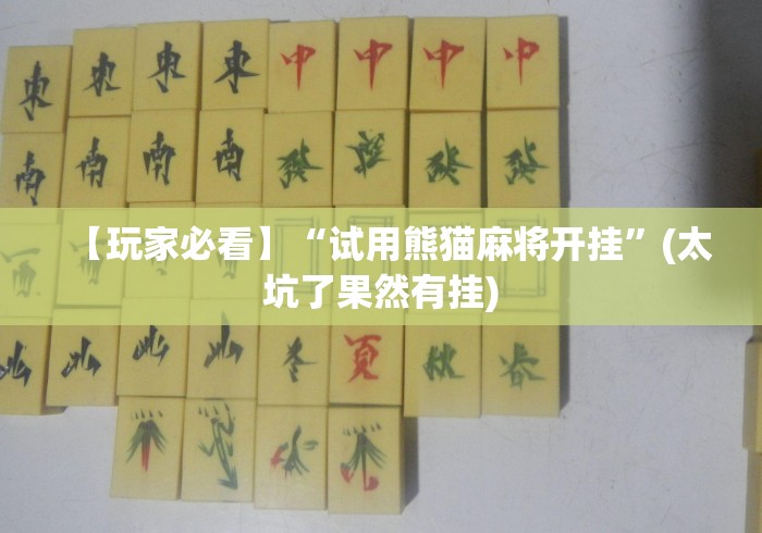 【玩家必看】“试用熊猫麻将开挂”(太坑了果然有挂)