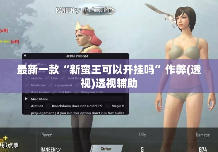 最新一款“新蛮王可以开挂吗”作弊(透视)透视辅助