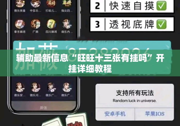 辅助最新信息“旺旺十三张有挂吗”开挂详细教程