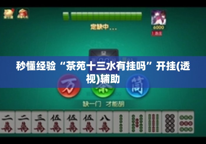 秒懂经验“茶苑十三水有挂吗”开挂(透视)辅助