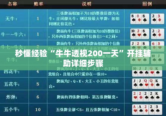 秒懂经验“牛牛透视200一天”开挂辅助详细步骤