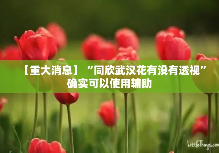 【重大消息】“同欣武汉花有没有透视”确实可以使用辅助