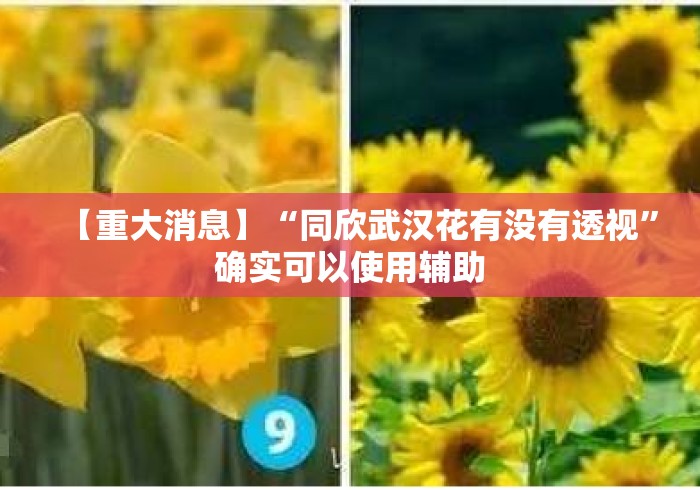 【重大消息】“同欣武汉花有没有透视	”确实可以使用辅助